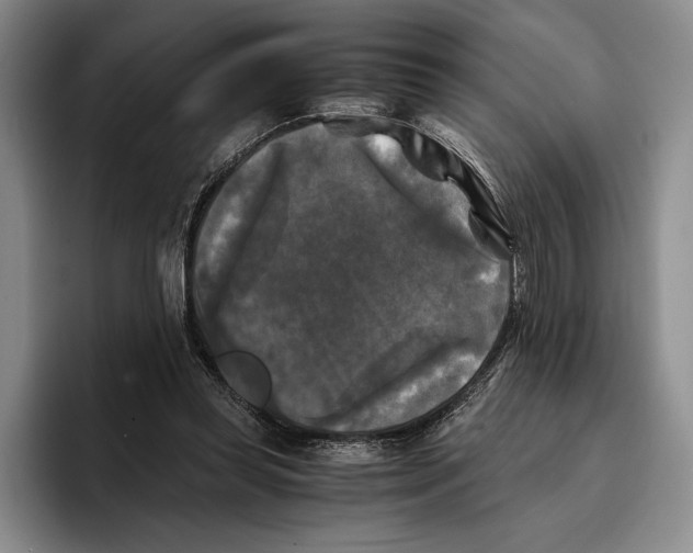 X0000096380349200802211126