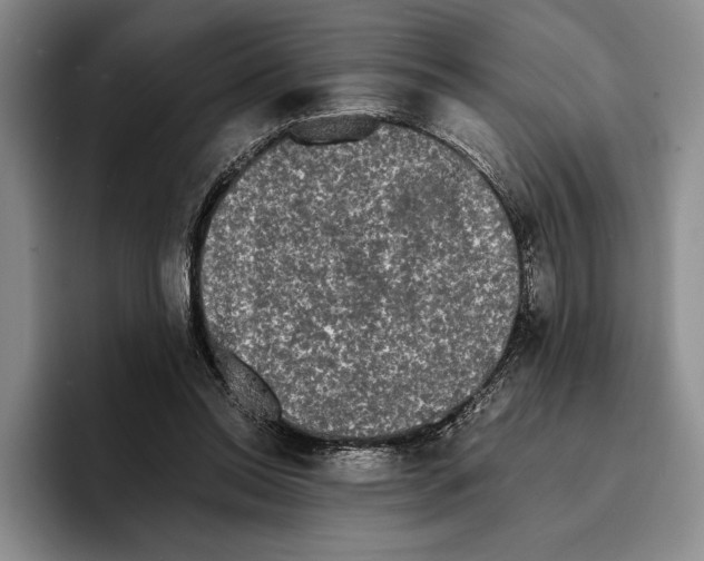 X0000096380350200802211126