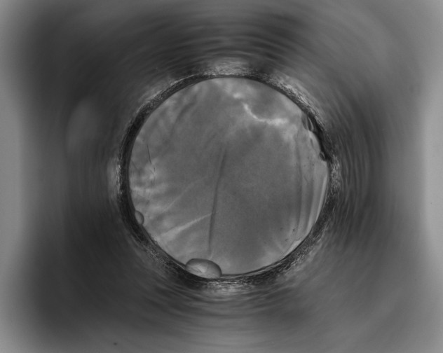 X0000096380351200802211126