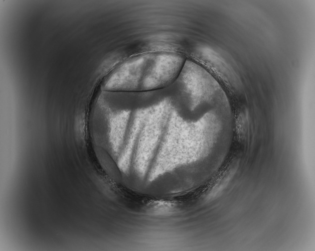 X0000096380352200802211126