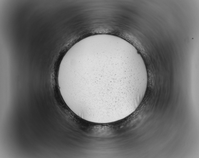 X0000096380354200802211126