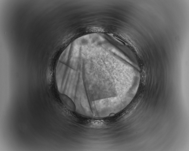 X0000096380355200802211126