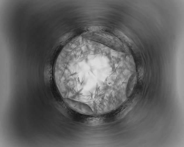 X0000096380356200802211126