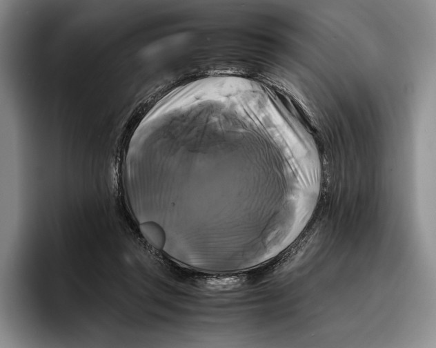 X0000096380357200802211126