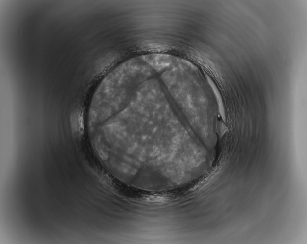 X0000096380358200802211126