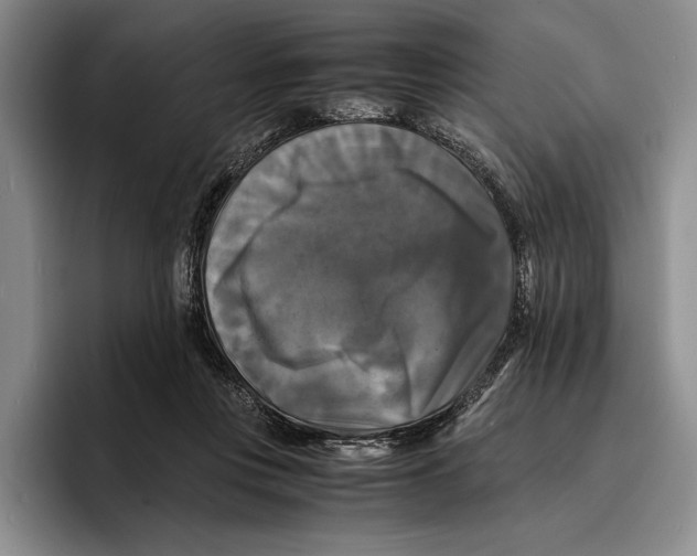 X0000096380359200802211126