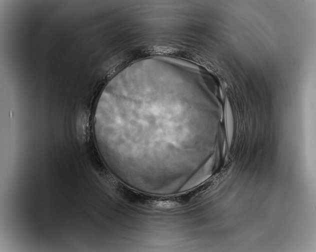 X0000096380360200802211126