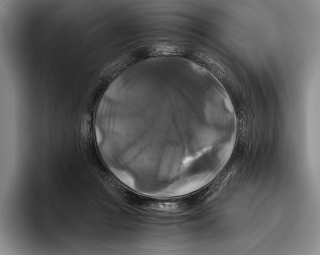 X0000096380361200802211126