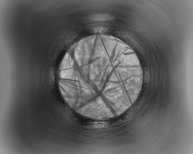 X0000096380363200802211126
