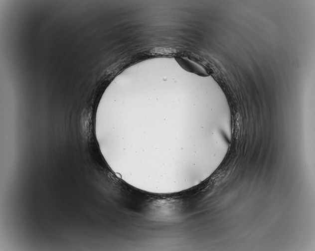 X0000096380364200802211126