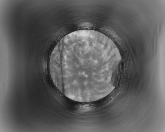 X0000096380365200802211126