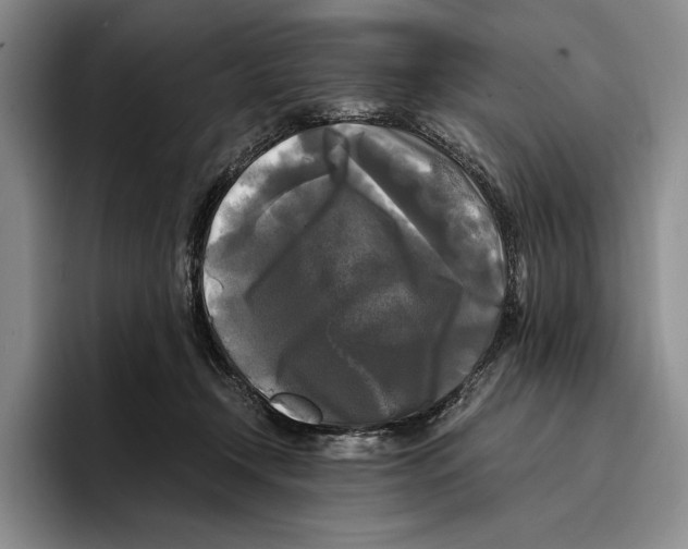 X0000096380366200802211126