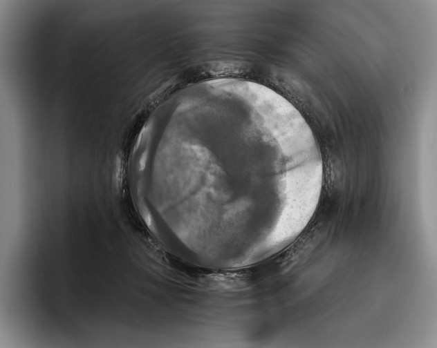 X0000096380367200802211126