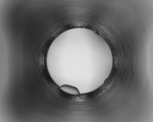 X0000096380368200802211126