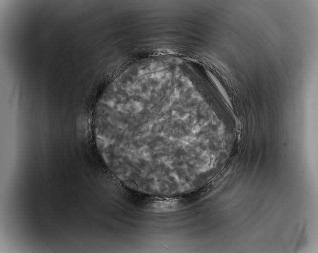 X0000096380369200802211126