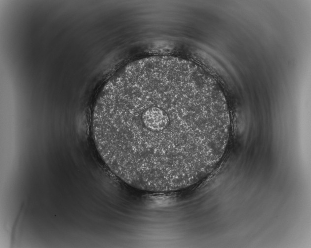 X0000096380370200802211126