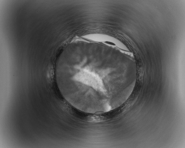 X0000096380372200802211126