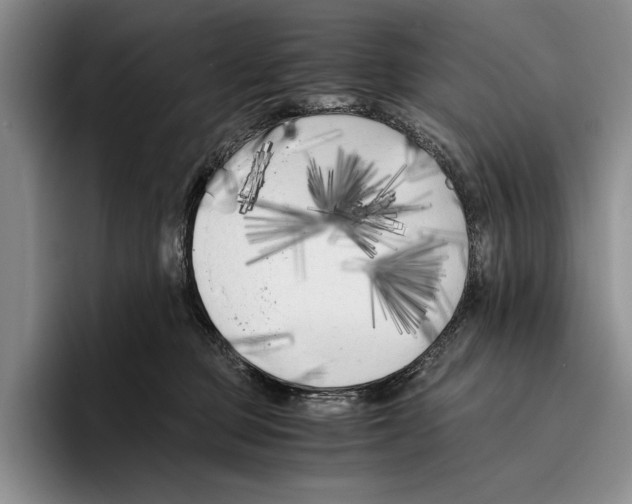 X0000096380373200802211126