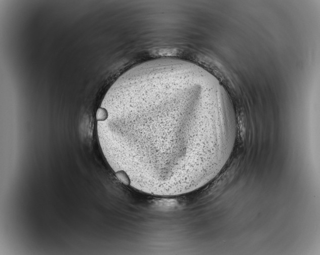 X0000096380374200802211126