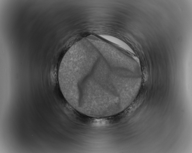 X0000096380376200802211126