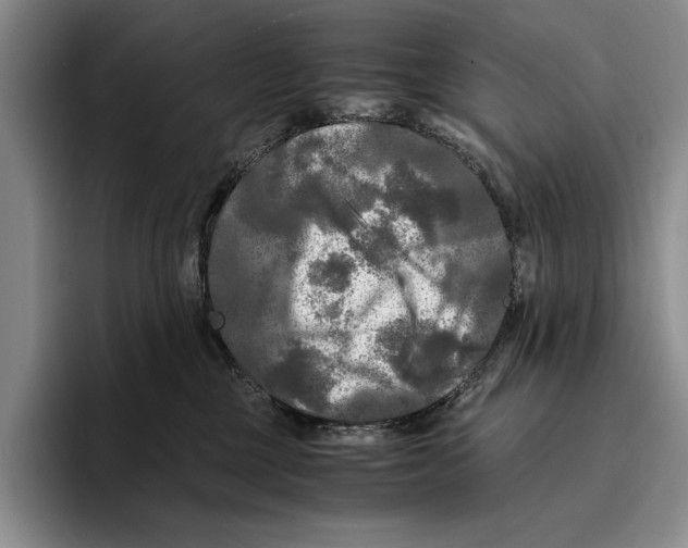 X0000096380377200802211126