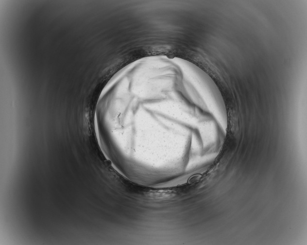 X0000096380378200802211126