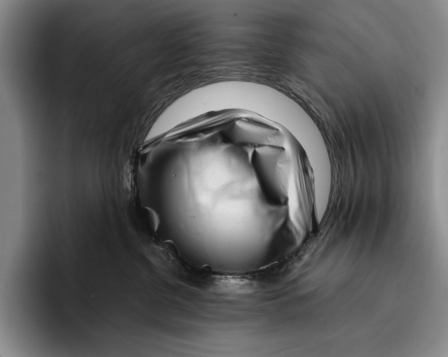 X0000096380380200802211126