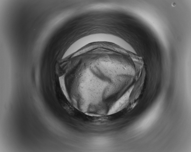 X0000096380382200802211126