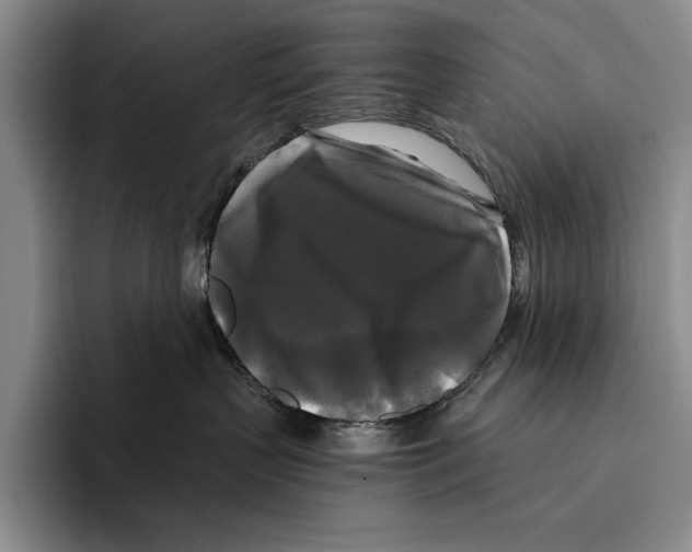 X0000096380383200802211126