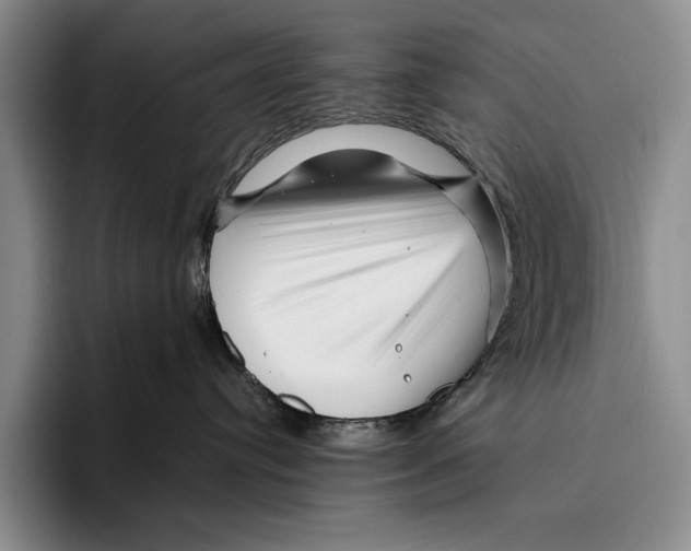 X0000096380384200802211126