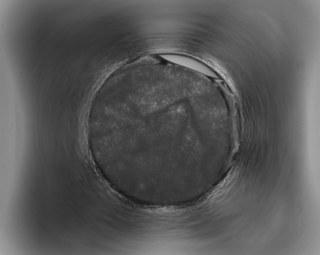 X0000096380385200802211125