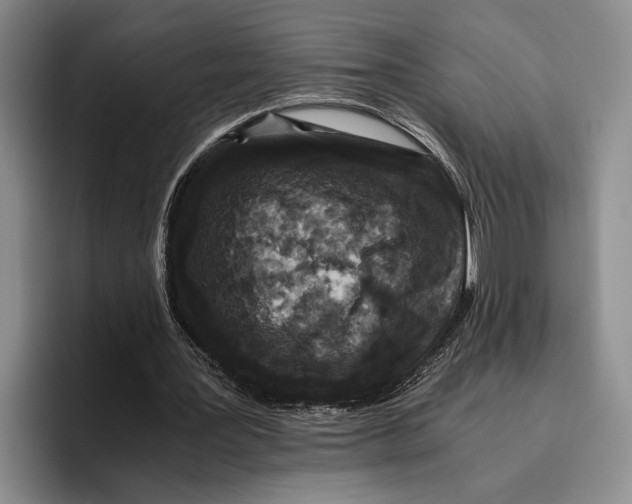 X0000096380387200802211125