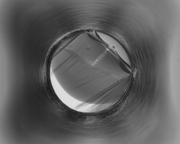 X0000096380388200802211125