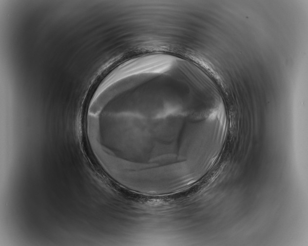 X0000096380390200802211125