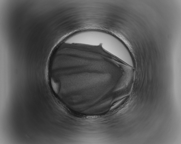 X0000096380391200802211125