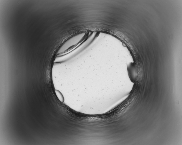 X0000096380393200802211125