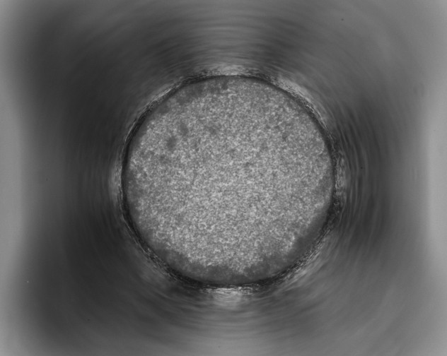 X0000096380394200802211125