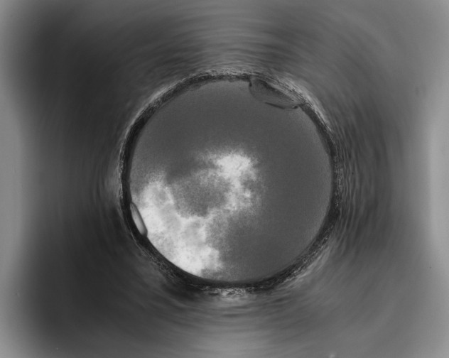 X0000096380395200802211125