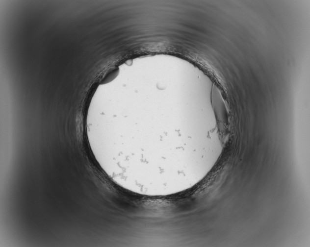 X0000096380397200802211125