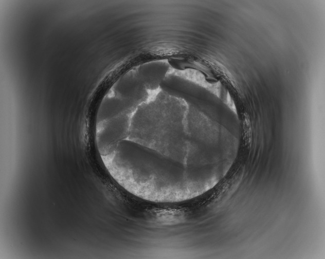 X0000096380400200802211125