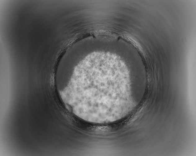 X0000096380401200802211125