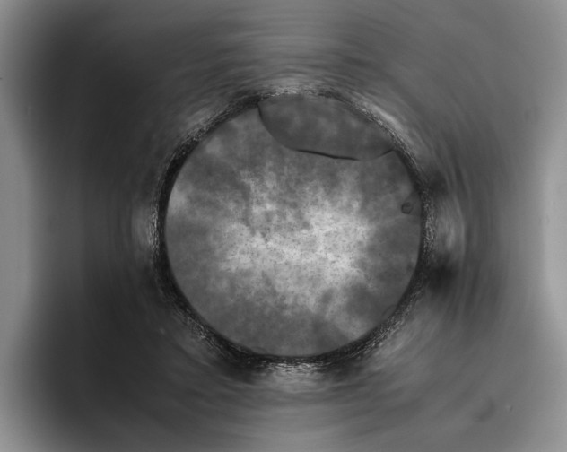 X0000096380403200802211125