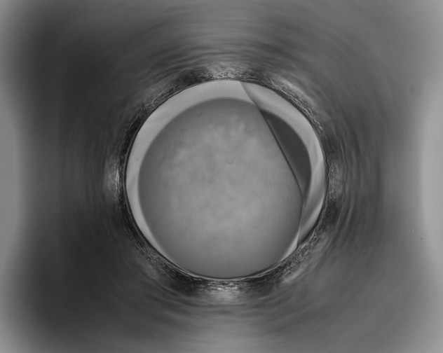 X0000096380405200802211125