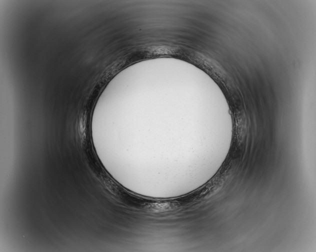 X0000096380406200802211125