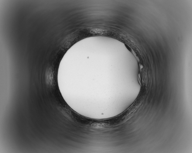 X0000096380408200802211125