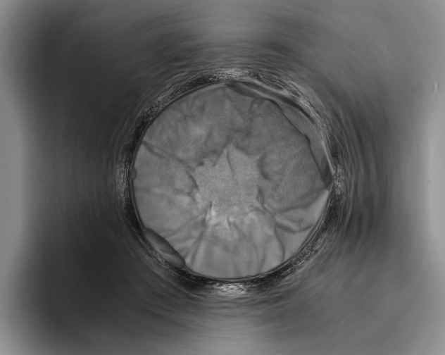 X0000096380409200802211125