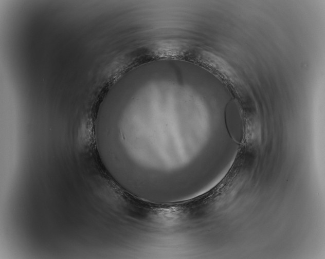 X0000096380411200802211125