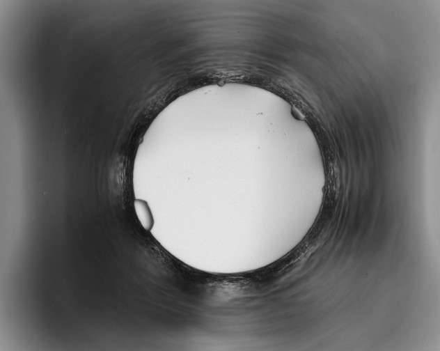 X0000096380412200802211125