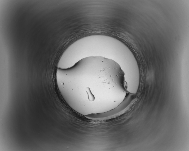 X0000096380415200802211125