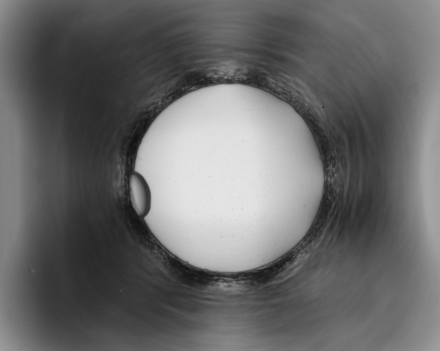 X0000096380416200802211125